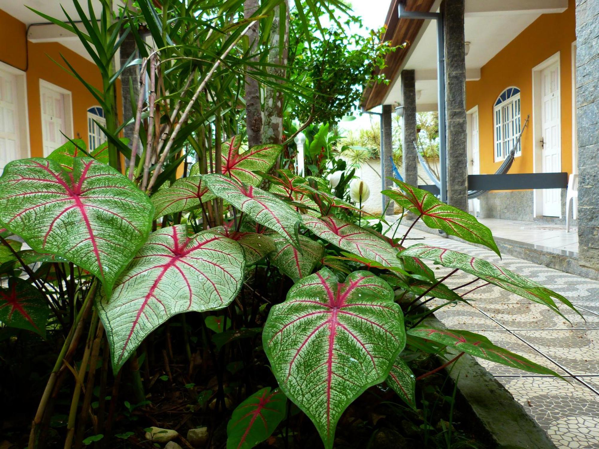 Villa Do Sonho Pousada Hotel Paraty Exterior photo